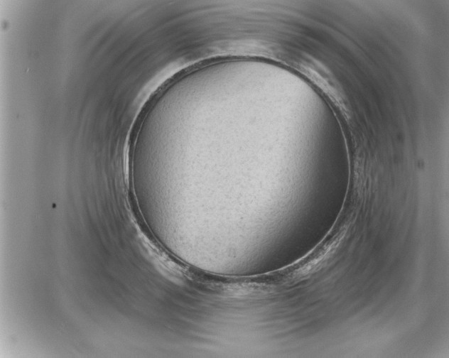 X0000087590988200705041504