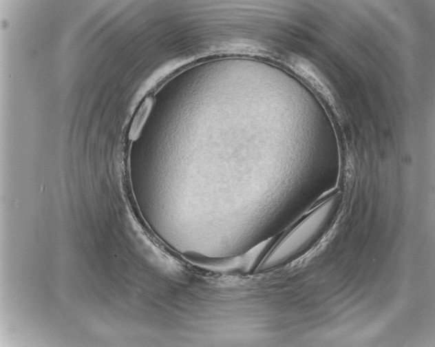 X0000087590989200705041504