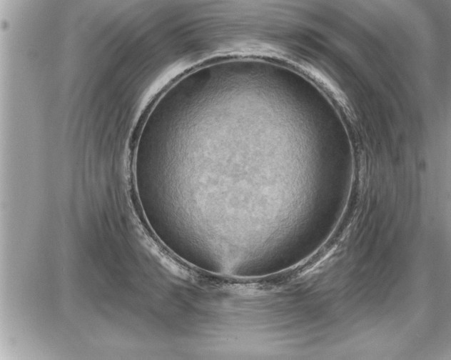 X0000087590990200705041504