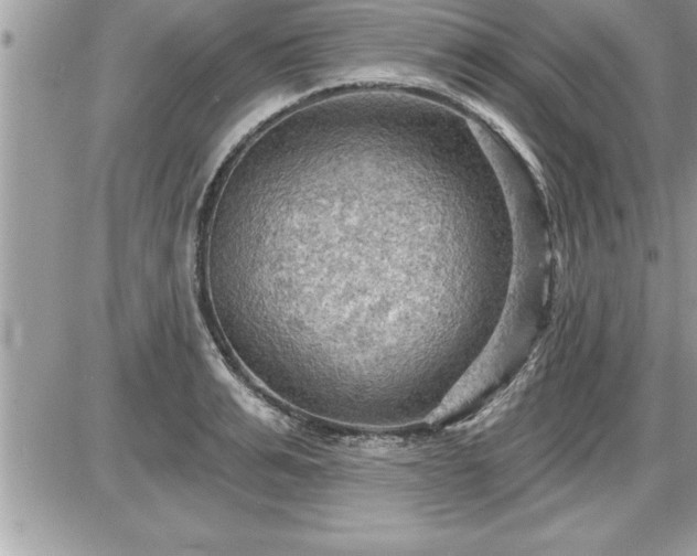 X0000087590991200705041504