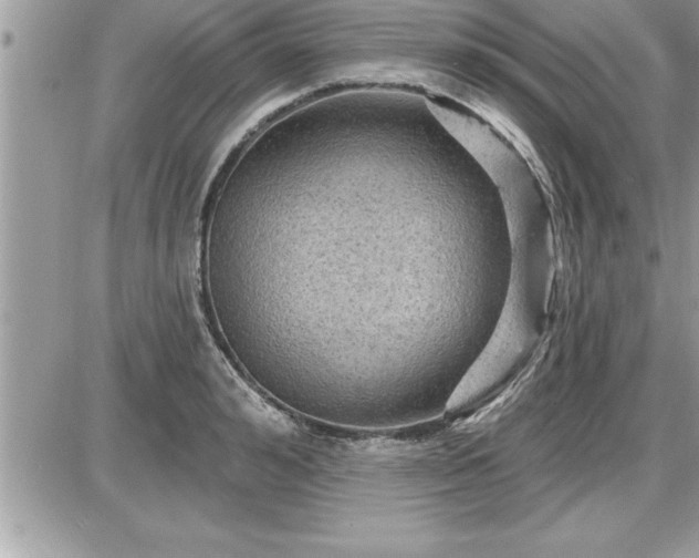 X0000087590992200705041504