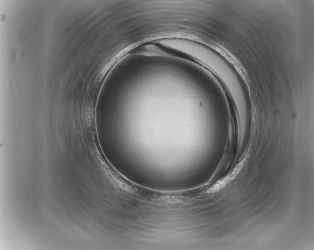 X0000087590993200705041504