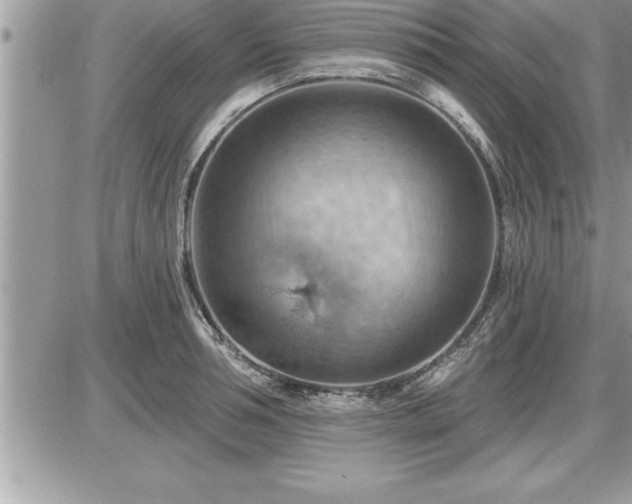 X0000087590994200705041504