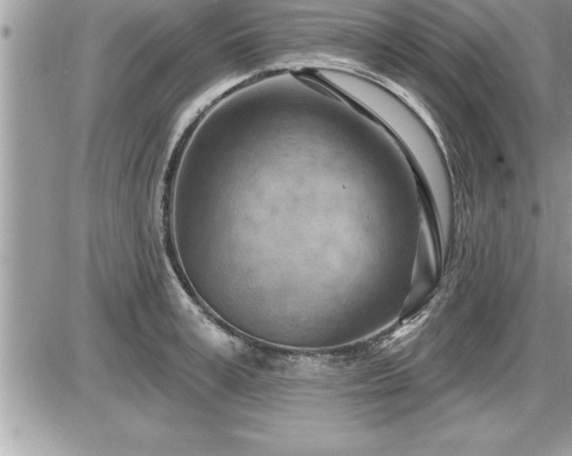 X0000087590995200705041504