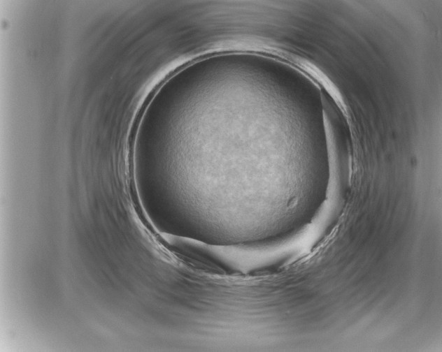 X0000087590996200705041504