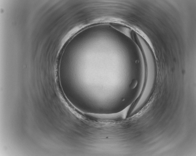 X0000087590997200705041504