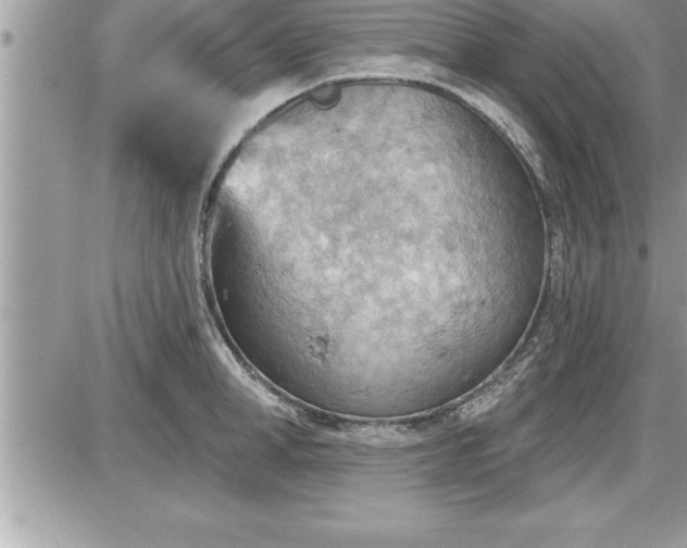 X0000087590998200705041504