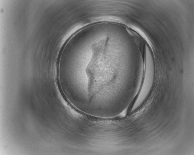 X0000087590999200705041504