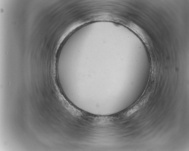 X0000087591000200705041504