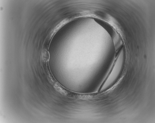 X0000087591001200705041504