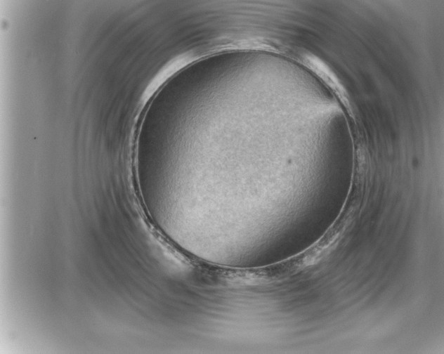 X0000087591002200705041504