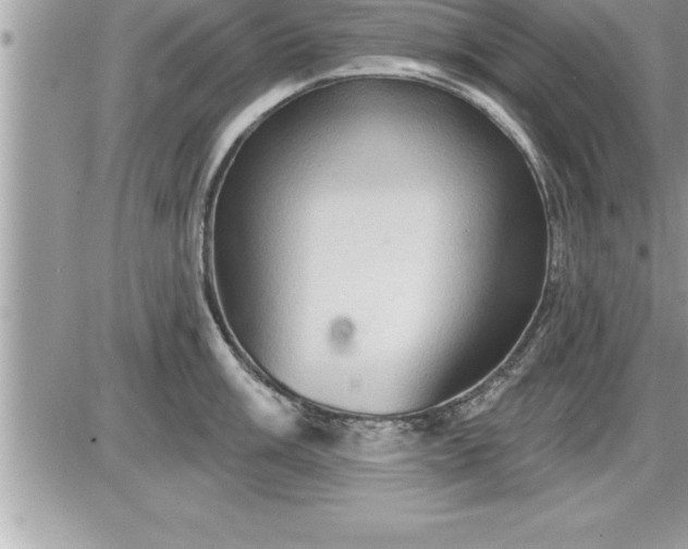 X0000087591003200705041504