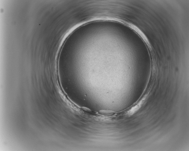 X0000087591004200705041504