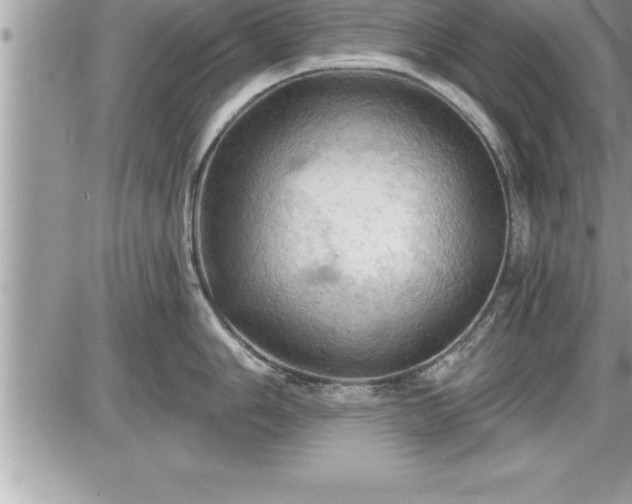 X0000087591006200705041504