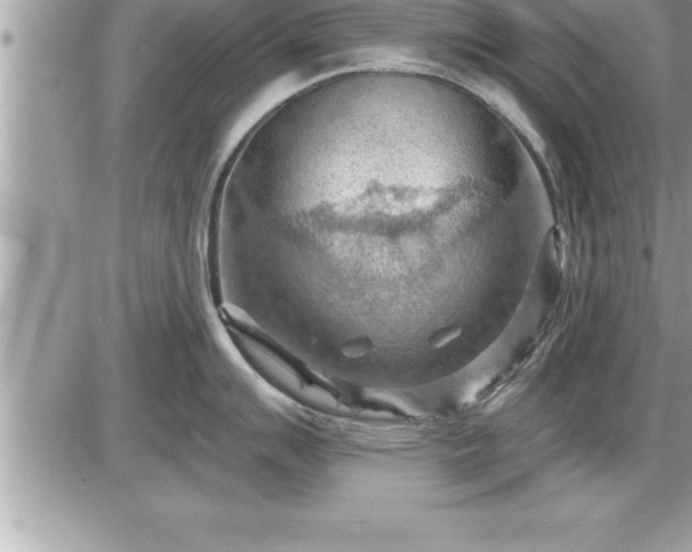 X0000087591007200705041504