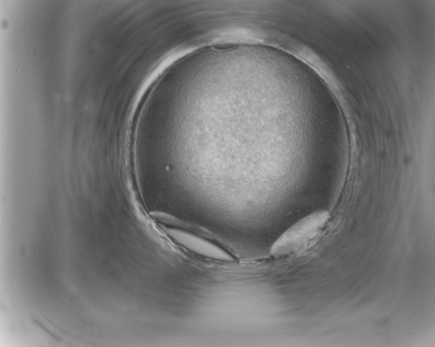 X0000087591008200705041504