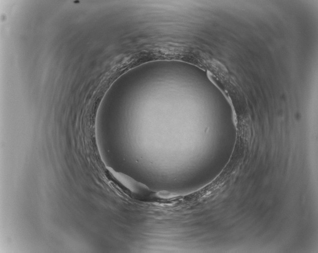 X0000087591009200705041503