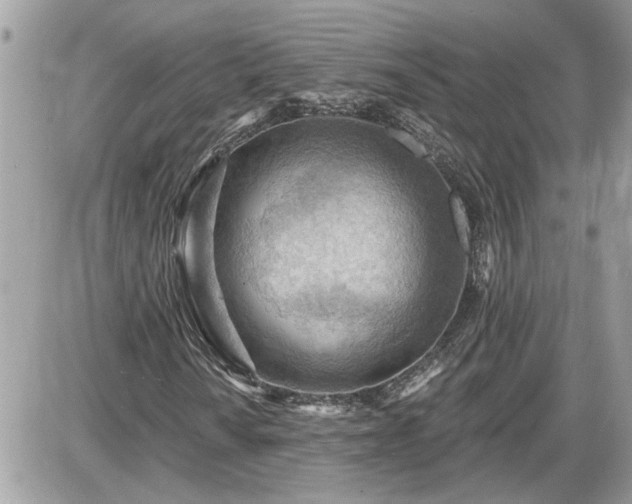 X0000087591010200705041503