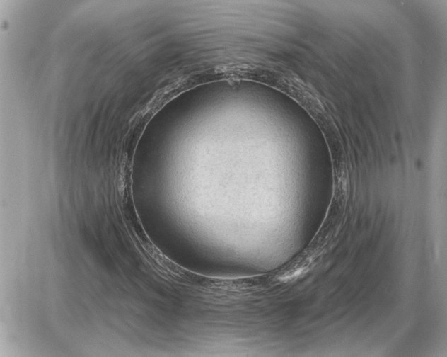 X0000087591012200705041503