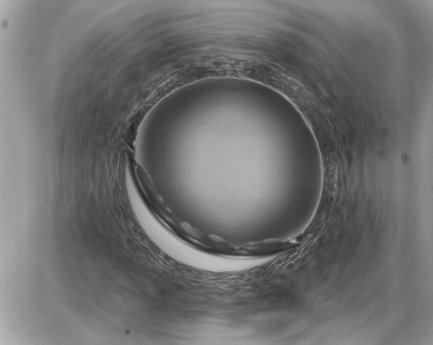 X0000087591013200705041503