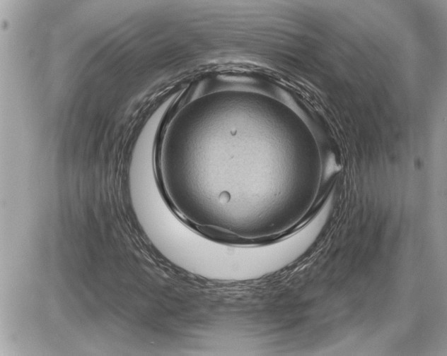 X0000087591014200705041503