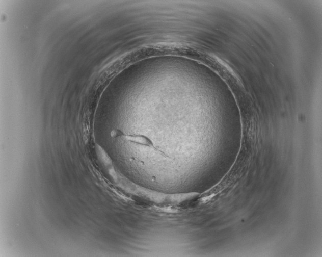 X0000087591015200705041503