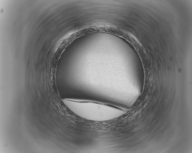 X0000087591016200705041503