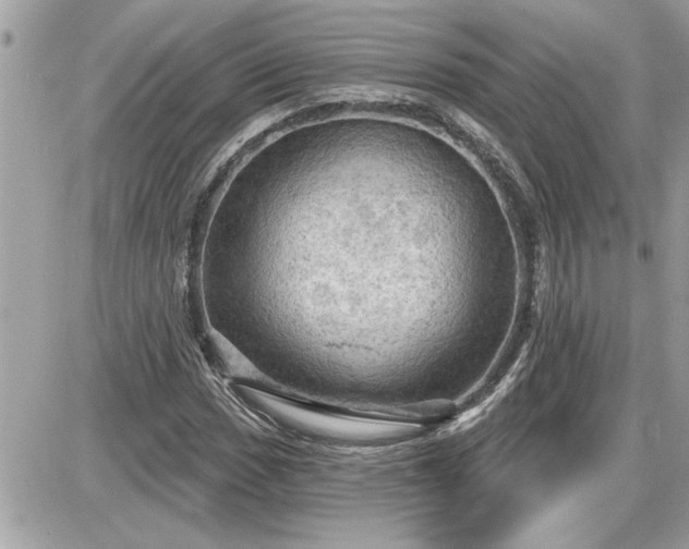 X0000087591017200705041503