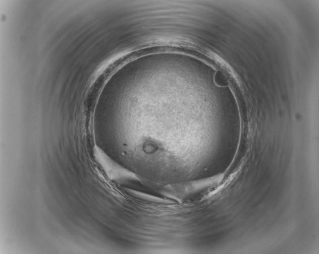 X0000087591019200705041503