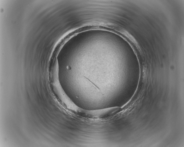 X0000087591020200705041503