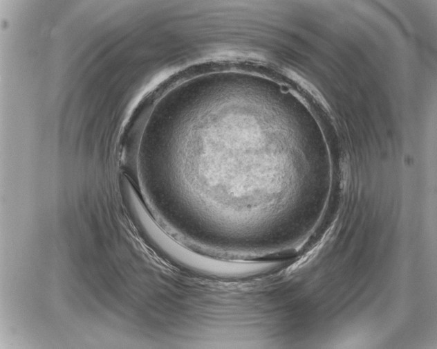 X0000087591021200705041503