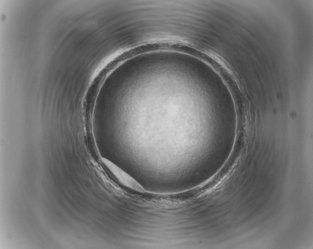 X0000087591022200705041503