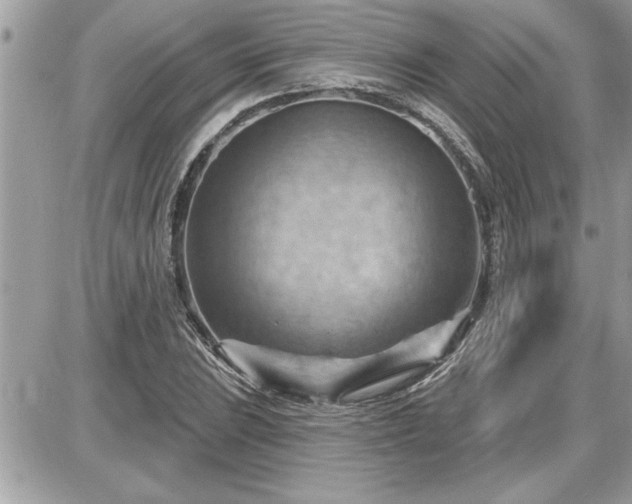 X0000087591023200705041503