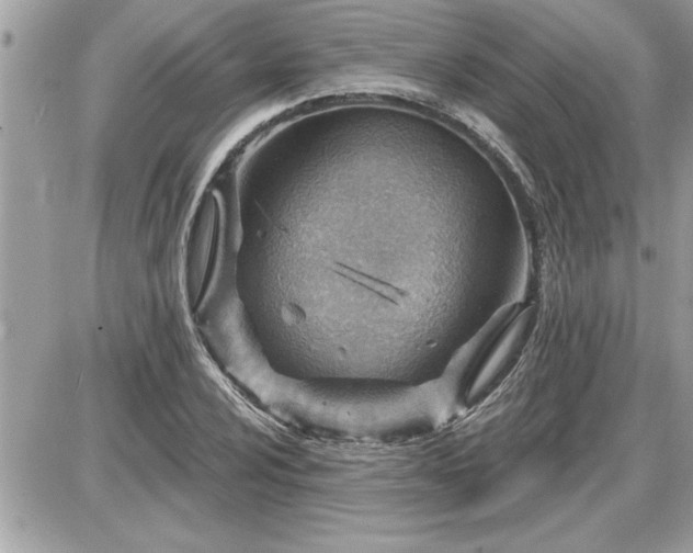 X0000087591024200705041503