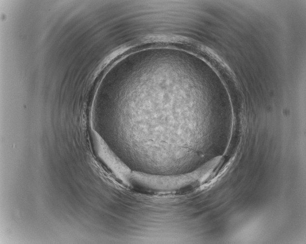 X0000087591025200705041504