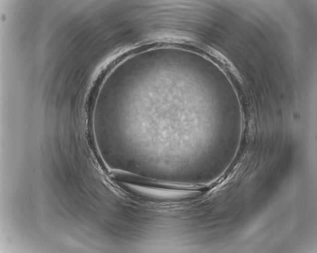 X0000087591027200705041504