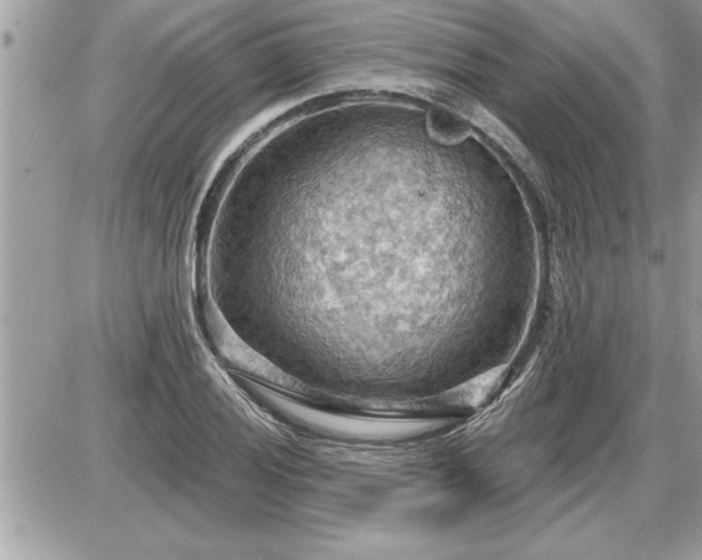 X0000087591028200705041504