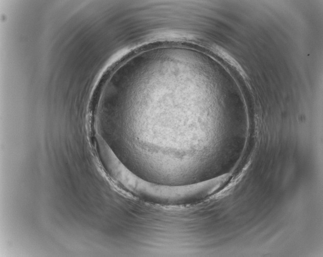 X0000087591029200705041504