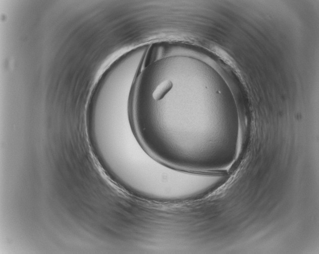 X0000087591030200705041504