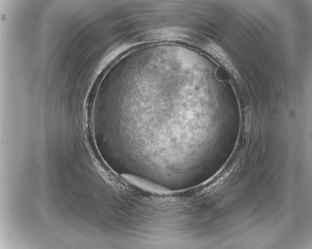 X0000087591031200705041504