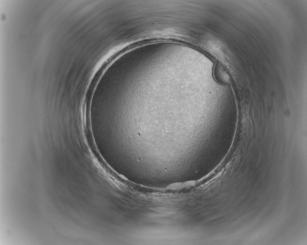 X0000087591032200705041504