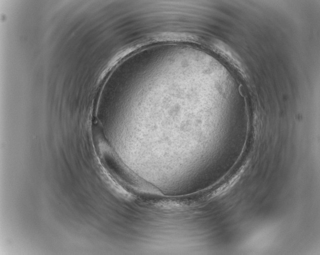 X0000087591033200705041504