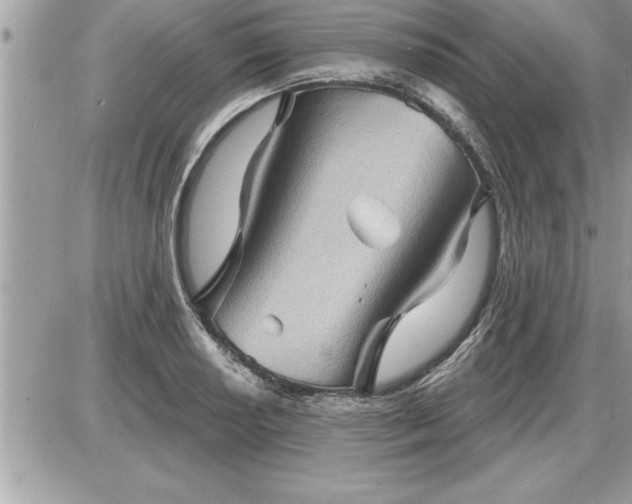 X0000087591034200705041504