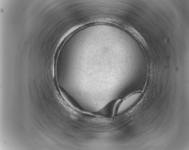 X0000087591036200705041504