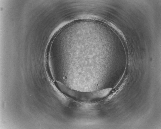 X0000087591037200705041504