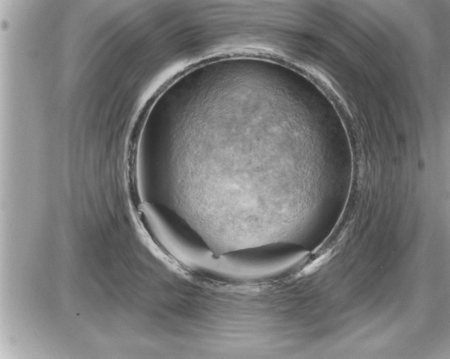 X0000087591038200705041504