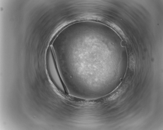 X0000087591039200705041504