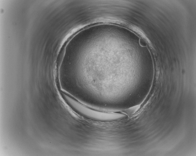 X0000087591040200705041504