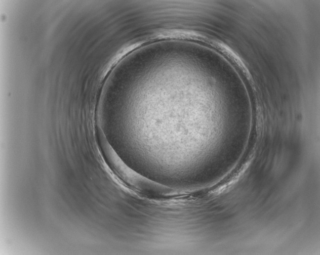 X0000087591041200705041504