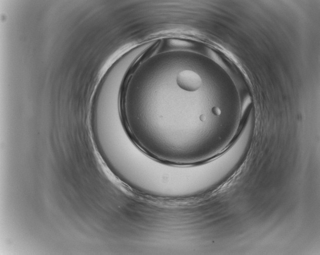 X0000087591042200705041504